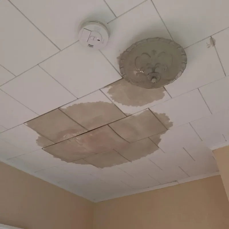 Ceiling Water Damage Repair in Ferguson, MO
