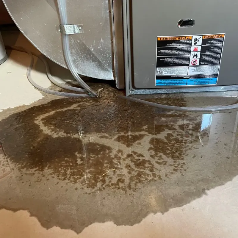 Pipe Burst and Leak Restoration in Ferguson, MO