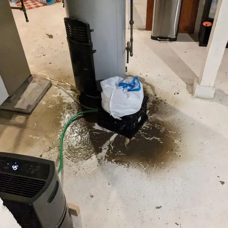 Sewage Backup Cleanup Service in Ferguson, MO